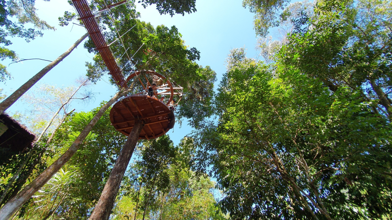 Hình ảnh Đu dây trượt cáp xuyên rừng - Zipline canopy